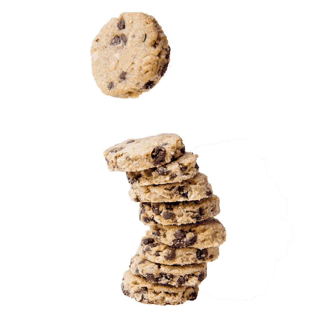 SLB Chocolate Chips Lactation Cookies (450g)