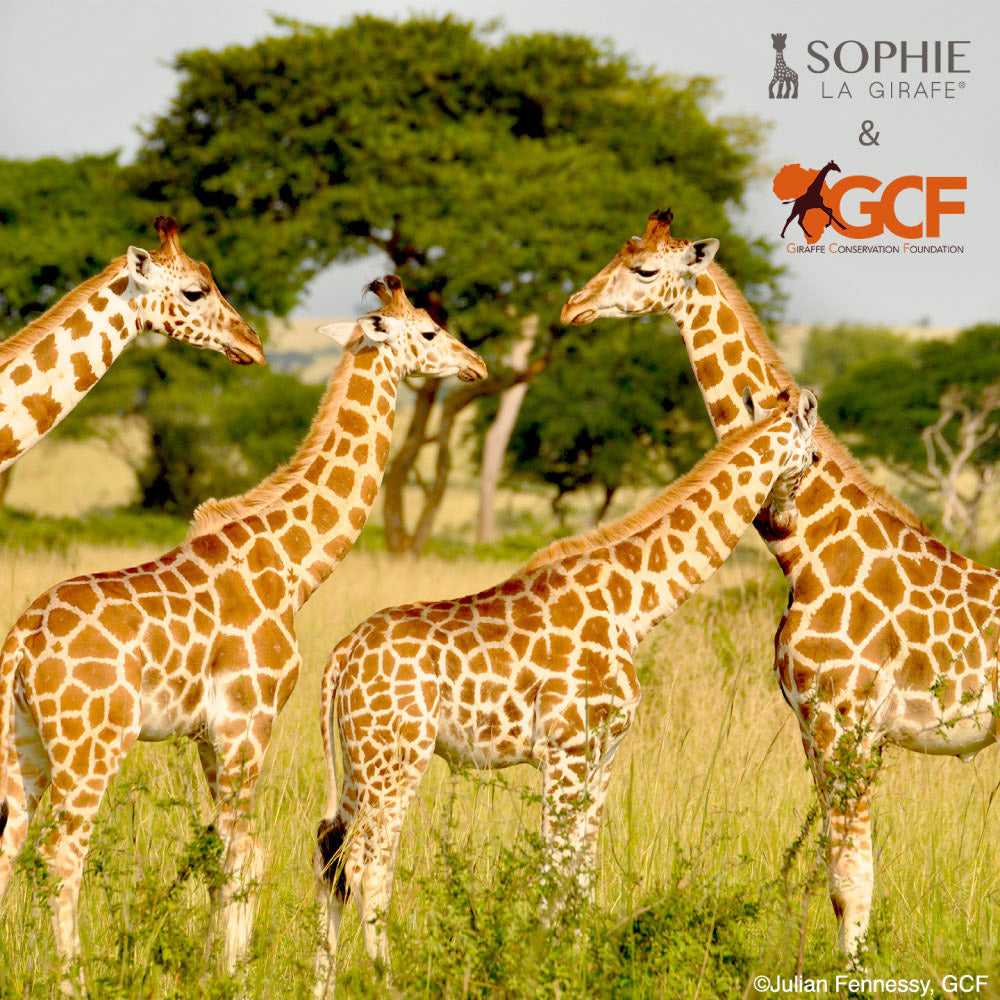 Sophie la girafe x GCF Save the Giraffes Set