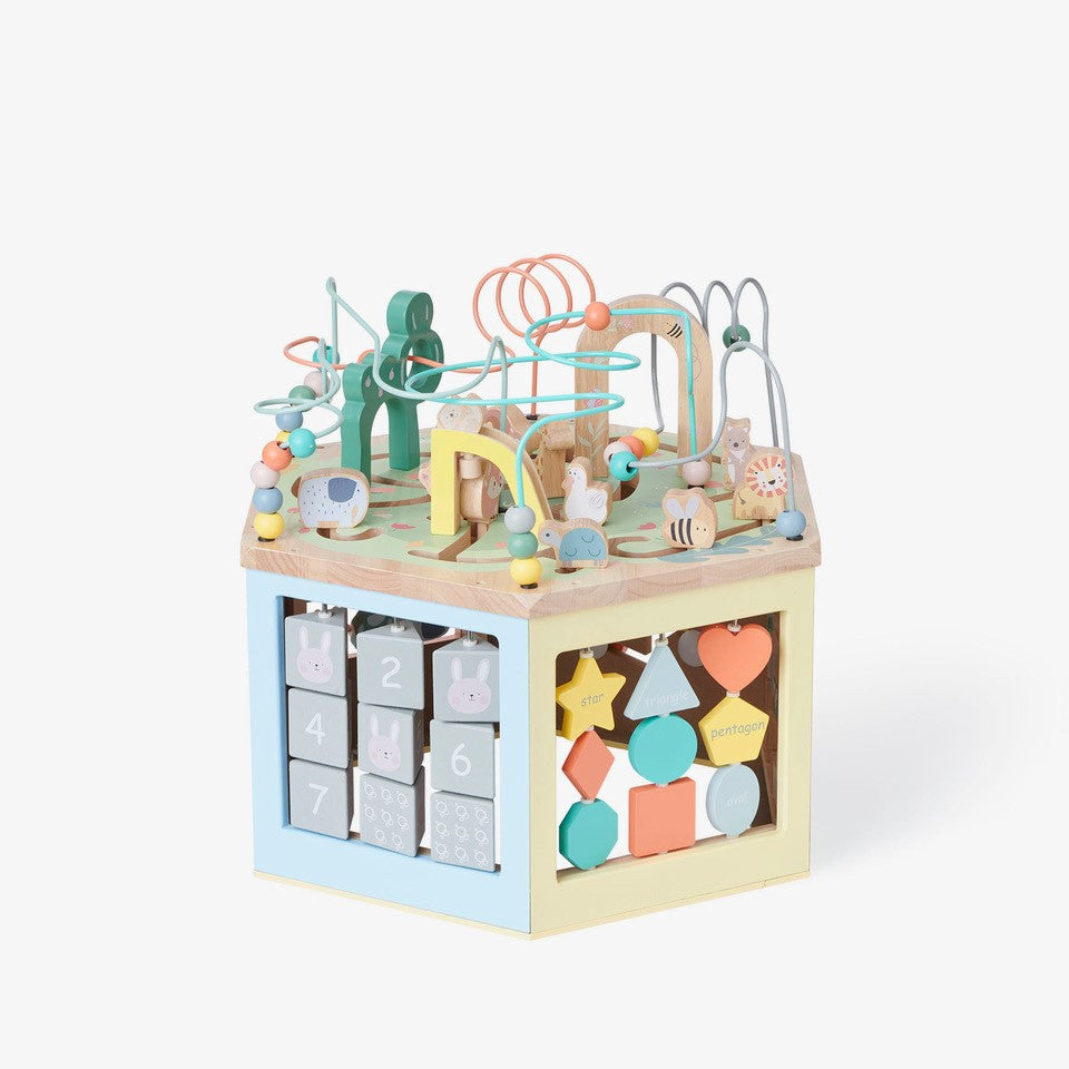 Bubble Large Wooden Activity Centre