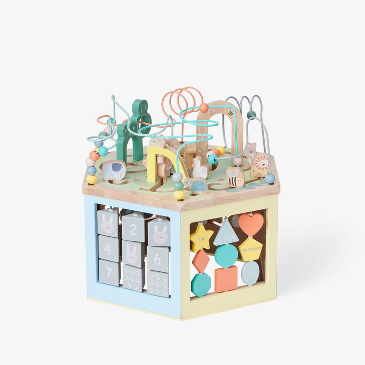 Bubble Large Wooden Activity Centre