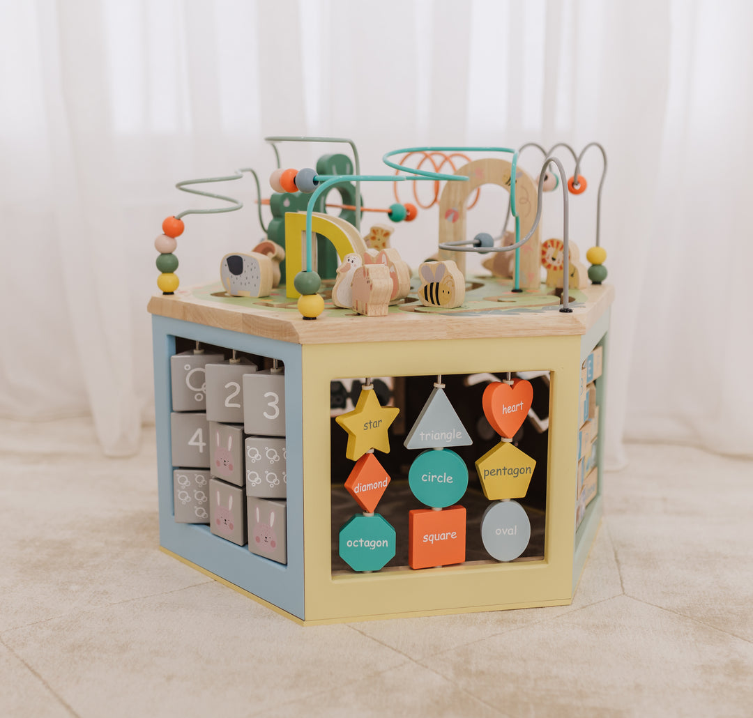 Bubble Large Wooden Activity Centre