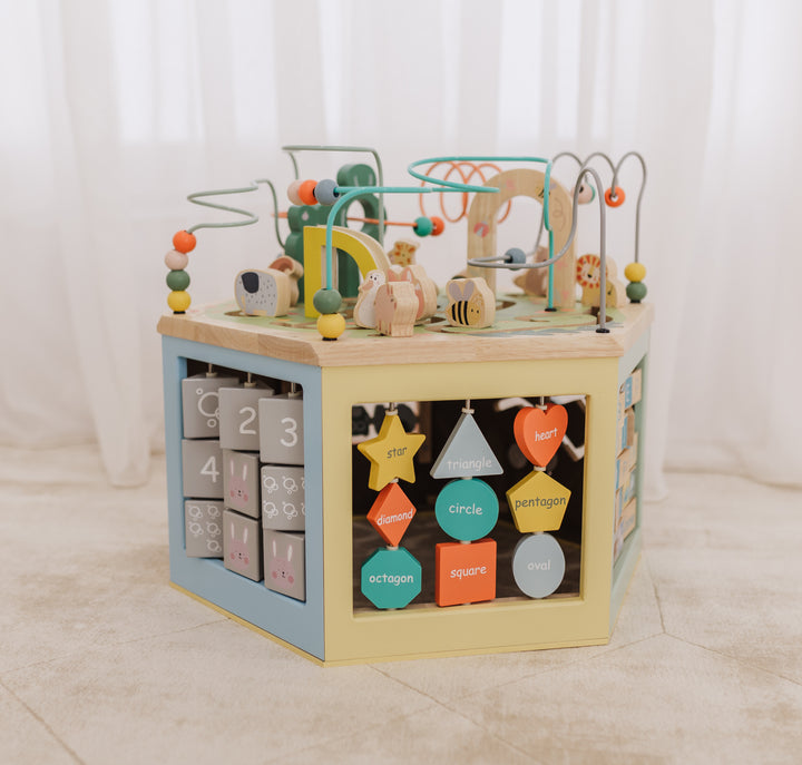 Bubble Large Wooden Activity Centre