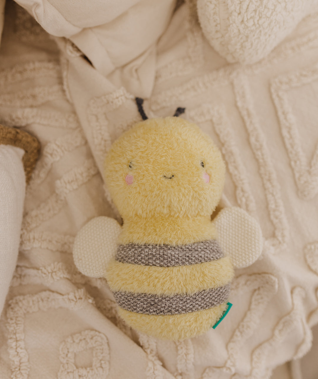 Bubble Plush Toy