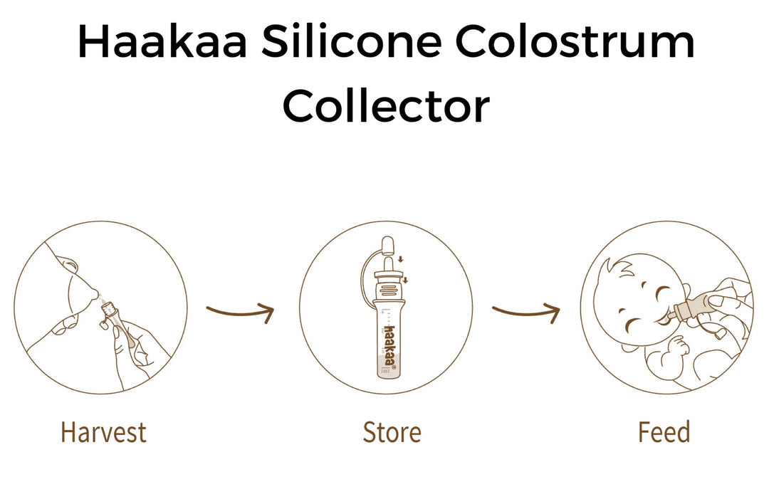 Haakaa Pre-sterilised Silicone Colostrum Collector Feeding Pack - 6pcs