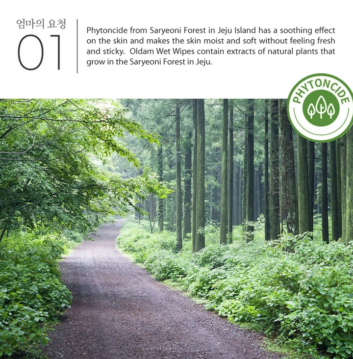 OLDAM Anti Bacterial Wipes | Carton Deal 70pcs x 9 packs | Contains Ethanol Kills 99.9% Germs