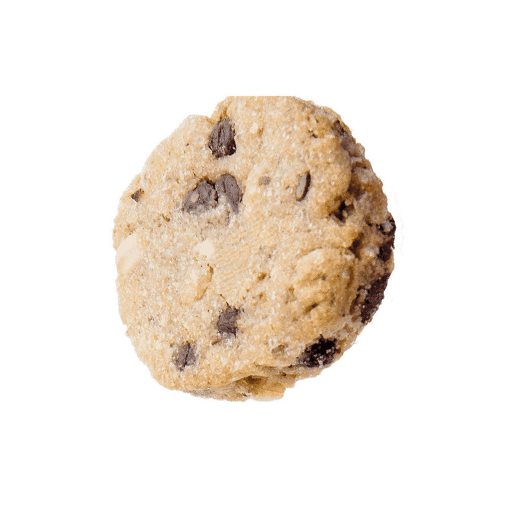 SLB Chocolate Chips Lactation Cookies (450g)