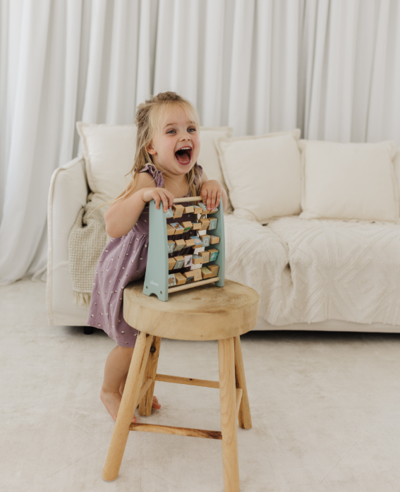 Bubble Wooden Abacus