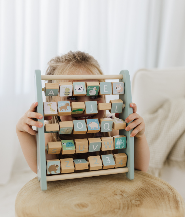 Bubble Wooden Abacus