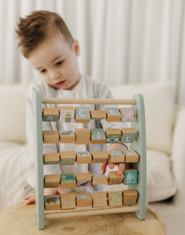 Bubble Wooden Abacus