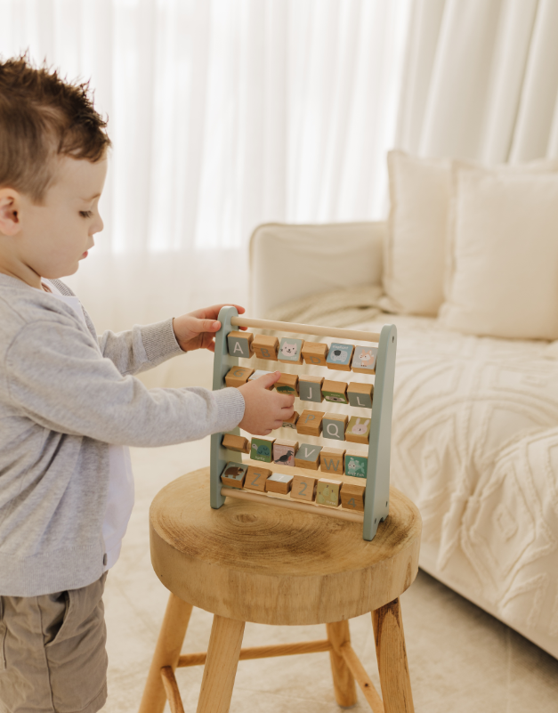 Bubble Wooden Abacus