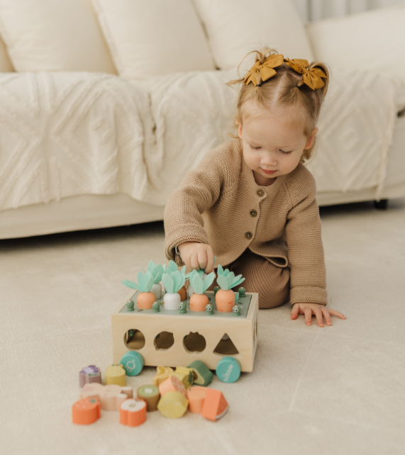 Bubble Wooden Vegetable Garden