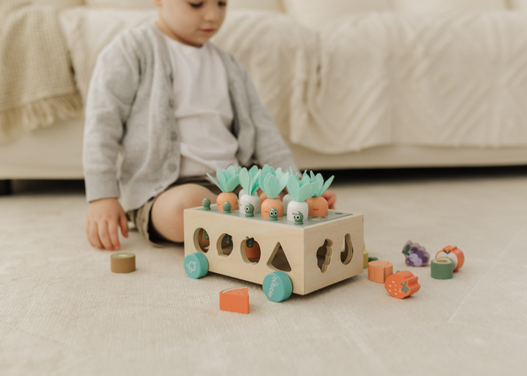 Bubble Wooden Vegetable Garden