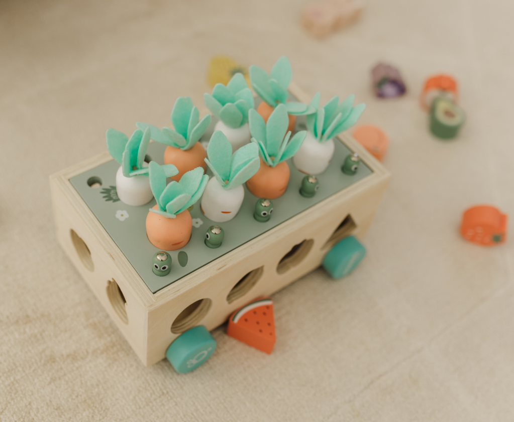 Bubble Wooden Vegetable Garden
