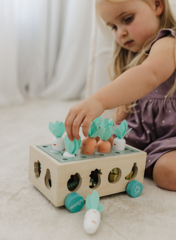 Bubble Wooden Vegetable Garden