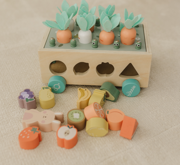 Bubble Wooden Vegetable Garden
