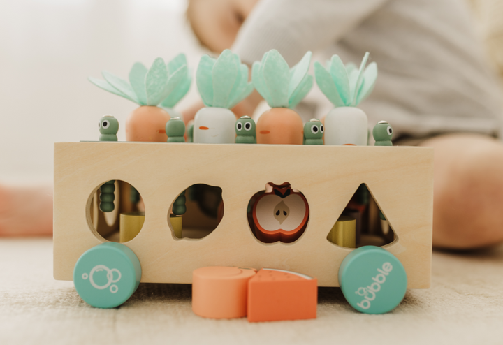 Bubble Wooden Vegetable Garden