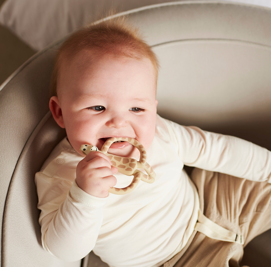 Matchstick Monkey Animal Teether