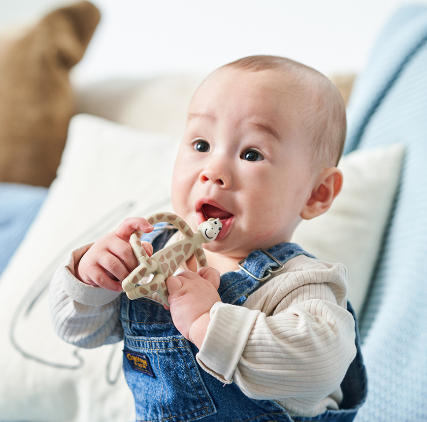 Matchstick Monkey Animal Teether