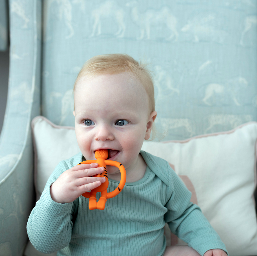Matchstick Monkey Animal Teether