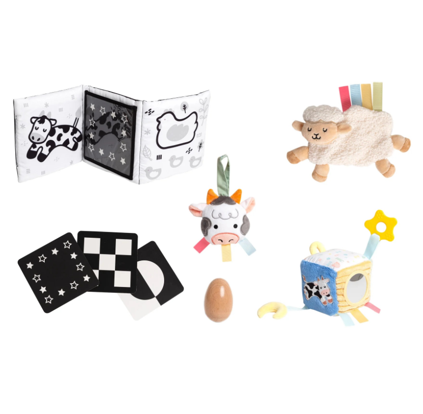 Pearhead Learning Kit 0-6 Months