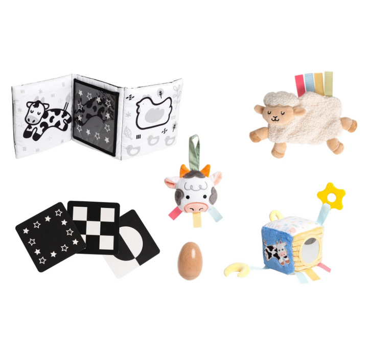 Pearhead Learning Kit 0-6 Months