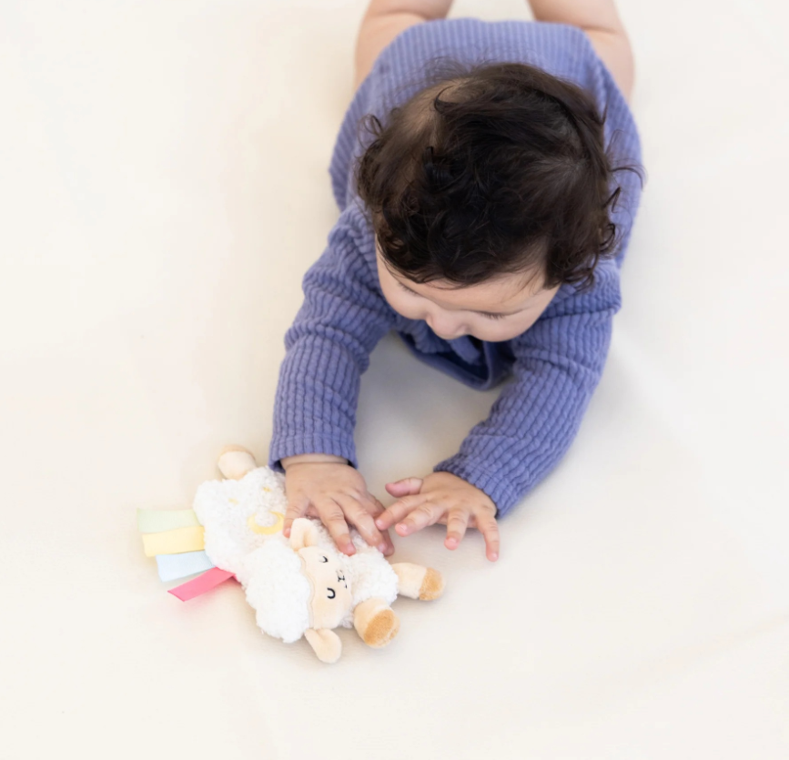 Pearhead Learning Kit 0-6 Months