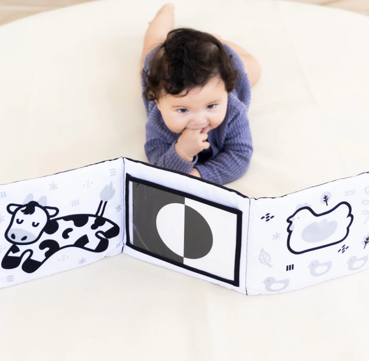 Pearhead Learning Kit 0-6 Months