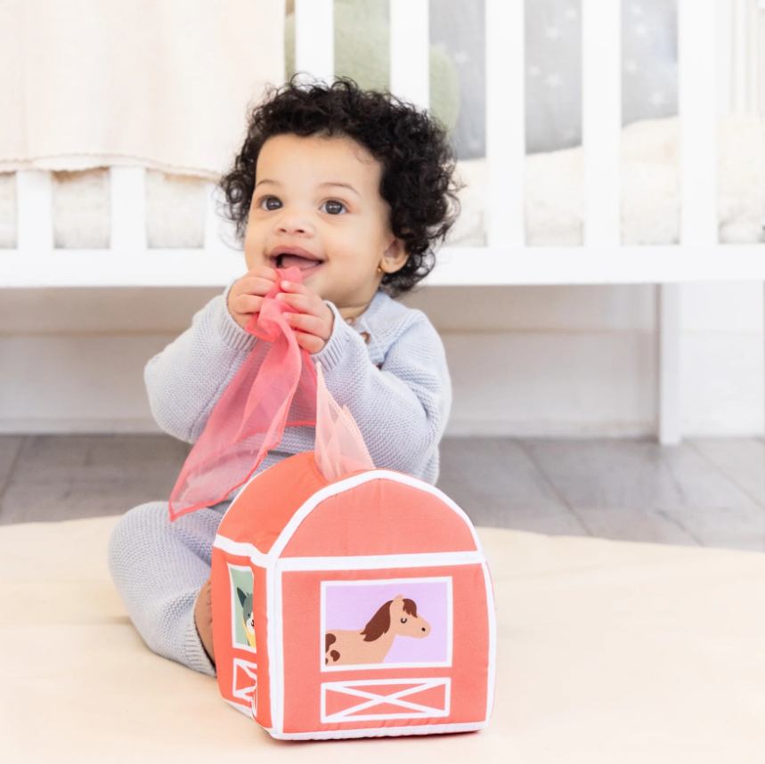 Pearhead Learning Kit 6-12 Months