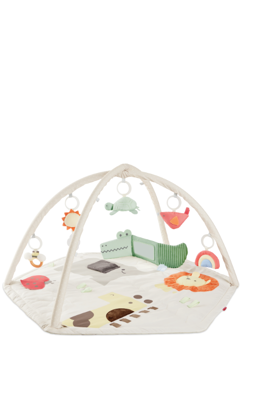 Skip Hop Geometric Wonders Activity Gym