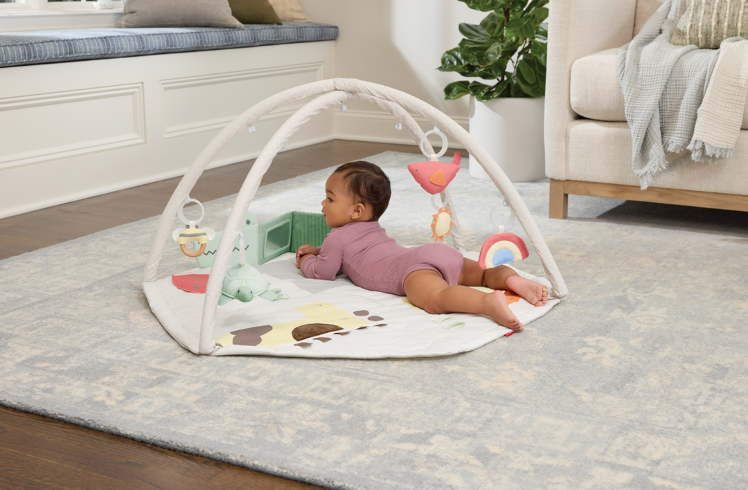 Skip Hop Geometric Wonders Activity Gym