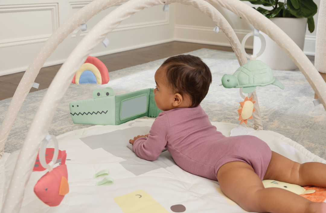 Skip Hop Geometric Wonders Activity Gym