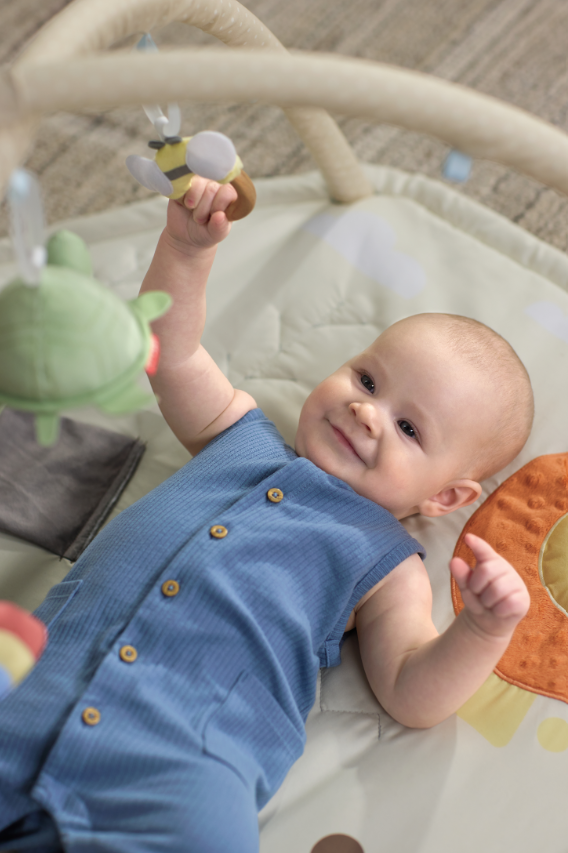 Skip Hop Geometric Wonders Activity Gym