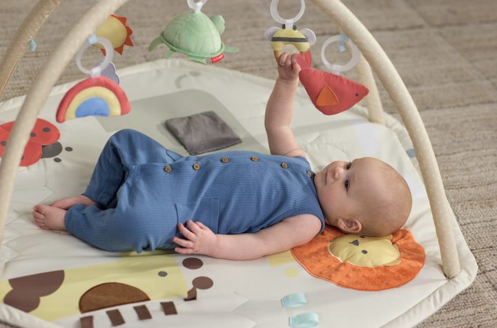Skip Hop Geometric Wonders Activity Gym