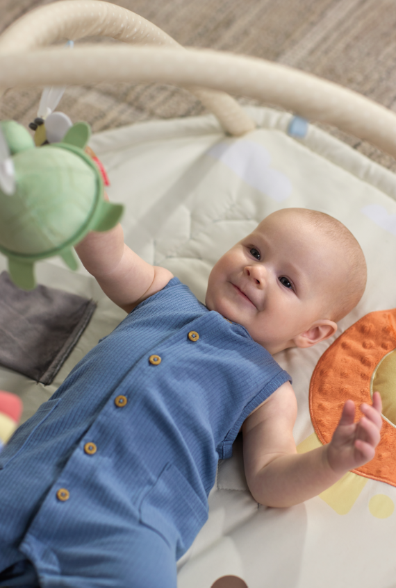 Skip Hop Geometric Wonders Activity Gym
