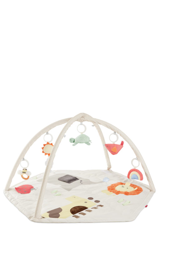 Skip Hop Geometric Wonders Activity Gym