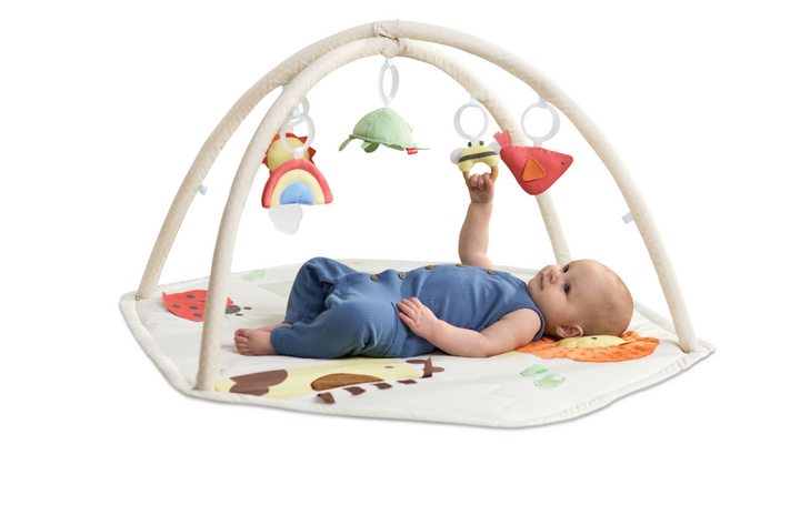 Skip Hop Geometric Wonders Activity Gym