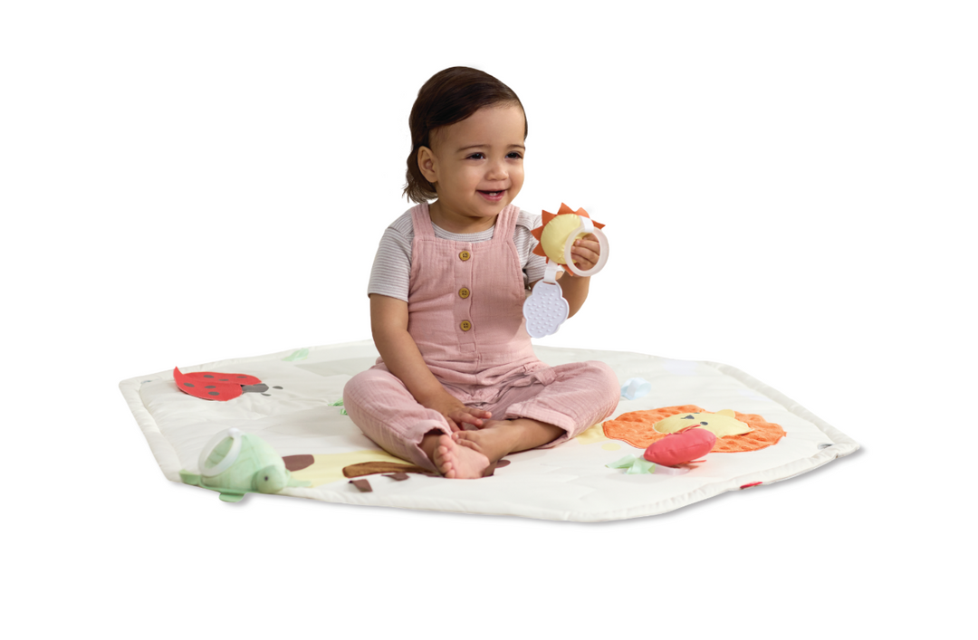 Skip Hop Geometric Wonders Activity Gym