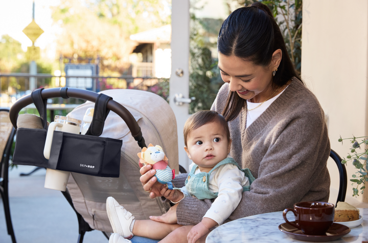 Skip Hop Ultimate Stroller Organiser | 2 Colors