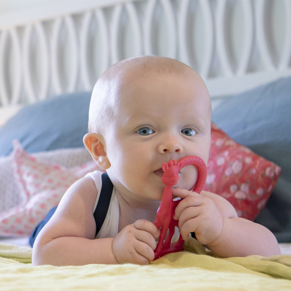 Sophie la girafe Vanilla Teether Colors – Jarrons