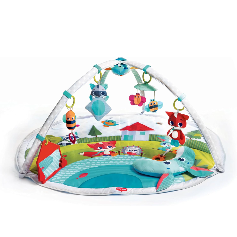 Tiny Love Gymini Dynamic – Jarrons & Co.
